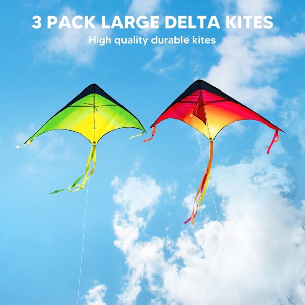 JOYIN 3 Packs Large Delta Kite Gradient Red, Green and Purpl...