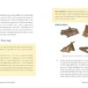 Wilderness Survival Guide: Practical Skills for the Outdoor ...