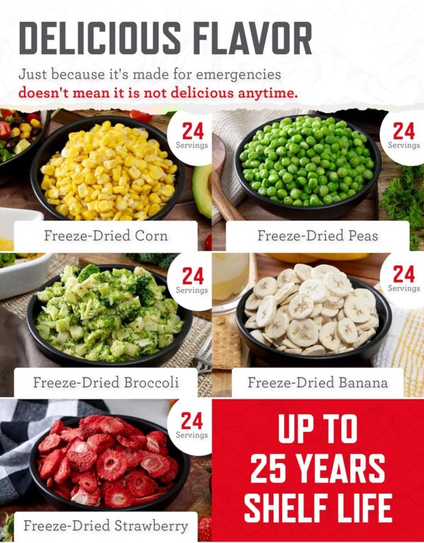 ReadyWise Emergency Food Supply, Freeze-Dried Survival-Food ...