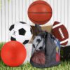 Lenwen 4 Pcs Sports Balls Set, Include Official Size Basketb...