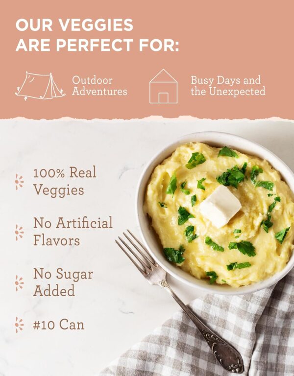 ReadyWise Simple Kitchen Homestyle Mashed Potatoes, 45 Servi...