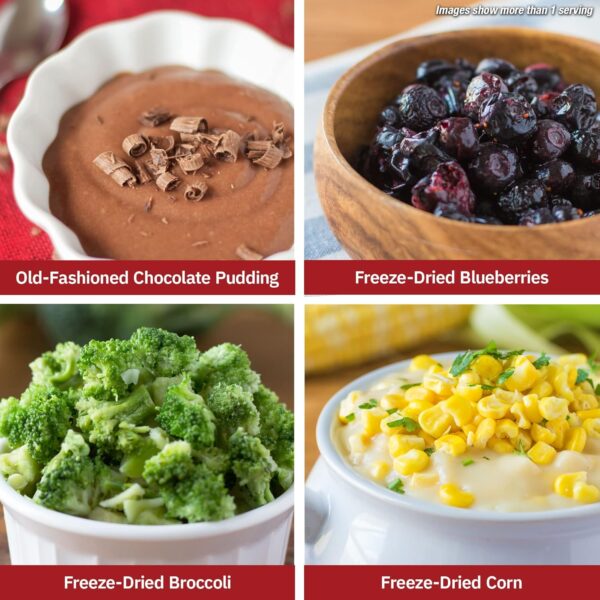 4Patriots Fruit, Veggie & Snack Emergency Food Supply: Desig...