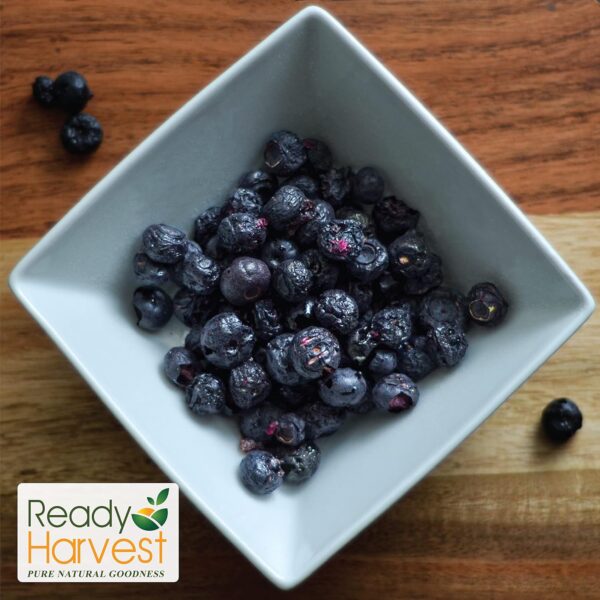 Ready Harvest Freeze-dried Blueberries Fruit Healthy Snacks ...