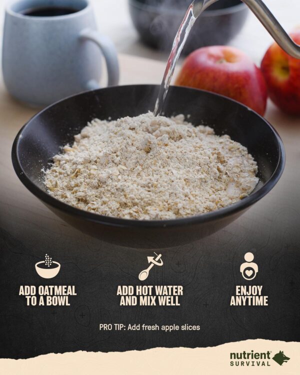 Nutrient Survival MRE Oatmeal, Hearty Apple Cinnamon (2 Sing...