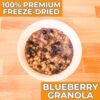 Nutristore | Freeze-Dried Blueberry Granola | Emergency Surv...
