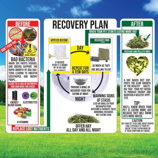 Sherwood Pet Health Rabbit Emergency kit and Bulk Recovery F...