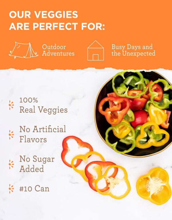 ReadyWise Simple Kitchen Omelet Mix - Powdered Eggs (72 Serv...