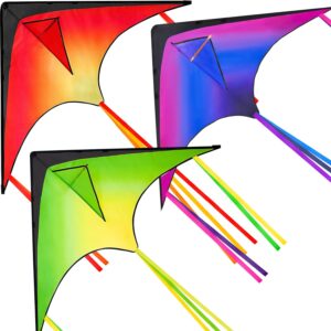JOYIN 3 Packs Large Delta Kite Gradient Red, Green and Purpl...