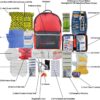 Ready America 72 Hour Deluxe Emergency Kit, 4-Person 3-Day B...