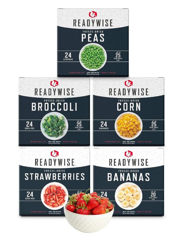 ReadyWise Emergency Food Supply, Freeze-Dried Survival-Food ...