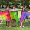 JOYIN 3 Packs Large Delta Kite Gradient Red, Green and Purpl...