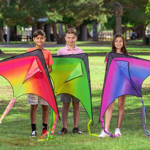 JOYIN 3 Packs Large Delta Kite Gradient Red, Green and Purpl...