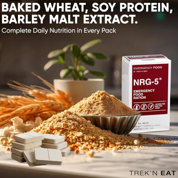 Katadyn NRG-5 Emergency Food Ration, tan