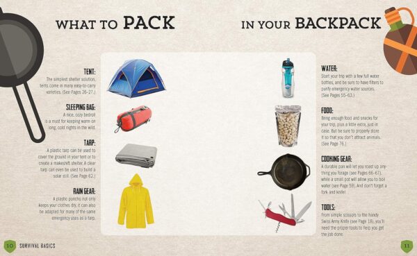Survival Handbook: An Essential Companion to the Great Outdo...