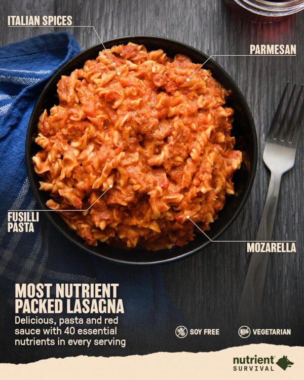 Nutrient Survival MRE Hearty Lasagna, Ready to Eat Meals (10...