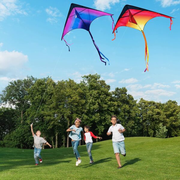 JOYIN 3 Packs Large Delta Kite Gradient Red, Green and Purpl...