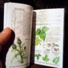 Tiny Pocket Survival Guide EDC Reference Skills Field Emerge...