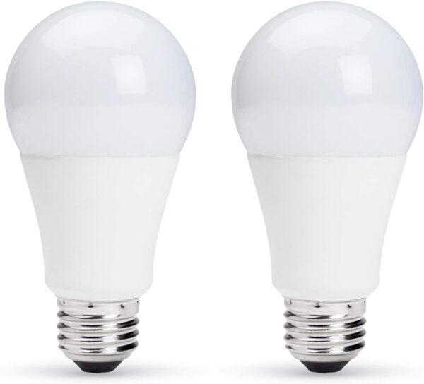 Healthe Goodnight Sleep Enhancing A19 LED Bulb