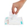 Munchkin Arm & Hammer Pacifier Wipes - Safely Cleans Breast ...