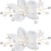 Decorative Shoe Clips Pearl Flower Shoes Decorations Charms ...