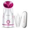 Amconsure Facial Steamer - Nano Ionic Face Steamer Warm Mist...