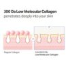 SUNGBOON EDITOR Deep Collagen Anti-Wrinkle Cream In Serum | ...