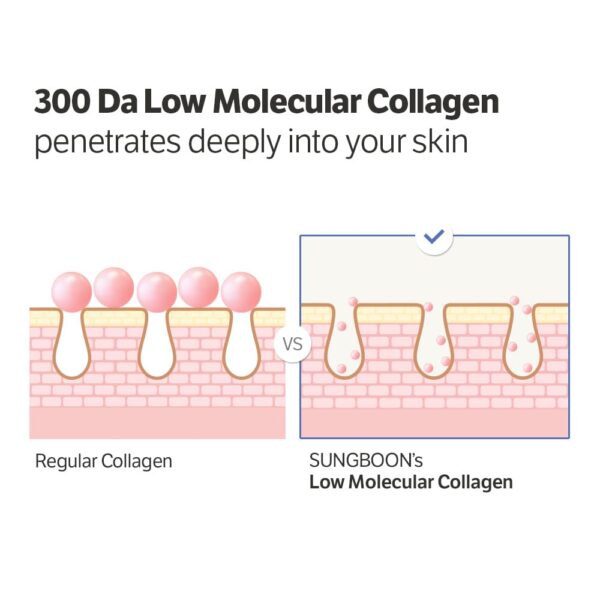 SUNGBOON EDITOR Deep Collagen Anti-Wrinkle Cream In Serum | ...