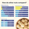 Blueprint Bryan Johnson Nutty Butter – Chunky Macadamia Nut ...