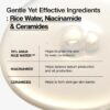 ANUA Rice 70 Glow Milky Toner, for Glass Skin, Rice Water, N...