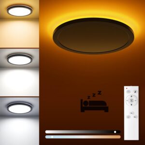 Matane Flush Mount Ceiling Light Fixture with Remote Control...