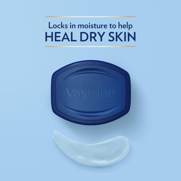 Vaseline Petroleum Jelly Travel-Size 2-Pack – Hypoallergenic...