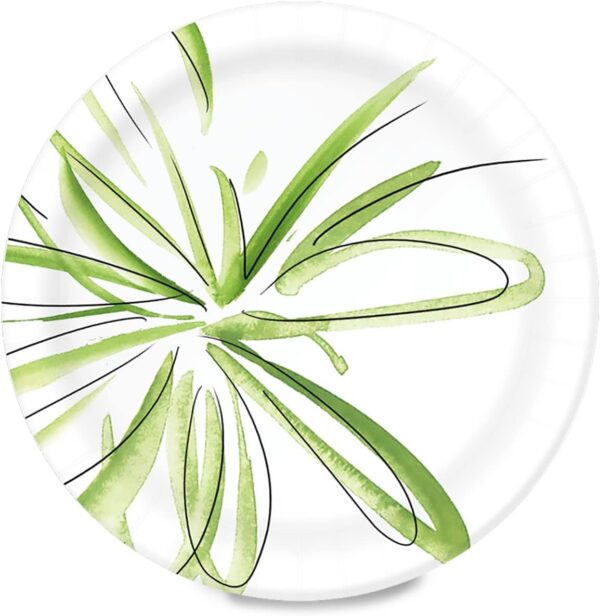 Amazon Basics Everyday Paper Plates, 8.62 Inch, Disposable, ...
