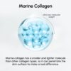 MAREE Face Moisturizer Retinol Cream for Face - Wrinkle Crea...
