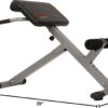 Sunny Health & Fitness Foldable Hyperextension Roman Chair w...