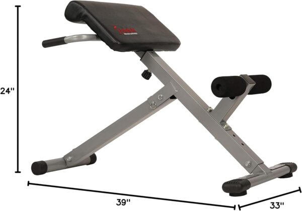 Sunny Health & Fitness Foldable Hyperextension Roman Chair w...