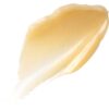 Burt's Bees Original Overnight Intensive Lip Treatment, Mois...