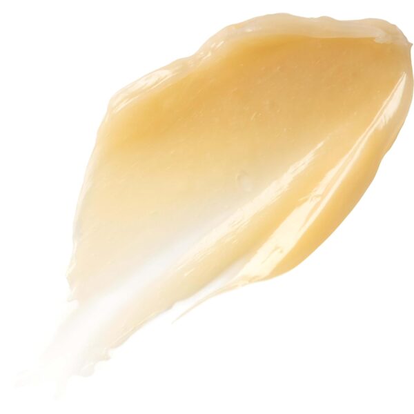 Burt's Bees Original Overnight Intensive Lip Treatment, Mois...