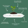 Naty Compostable XXL Baby Wipes - Unscented, 100% Plant-Base...