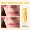 DMSKY 12 Pack Lip Balm, Natural Lip Balm Bulk with Vitamin E...