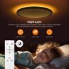 Matane Flush Mount Ceiling Light Fixture with Remote Control...
