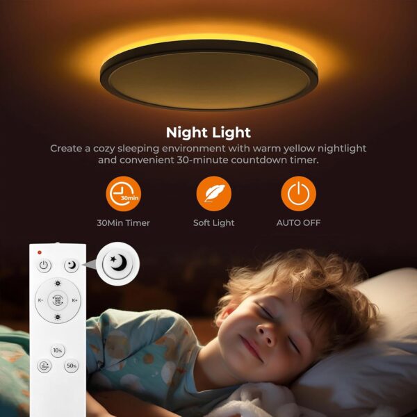 Matane Flush Mount Ceiling Light Fixture with Remote Control...