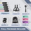 WHATAFIT Resistance Bands, Exercise Bands，Resistance Bands f...