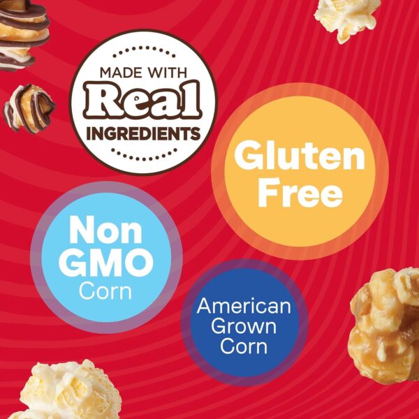 Popcornopolis Gourmet Popcorn Cone Variety Pack – Zebra, Che...