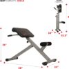 Sunny Health & Fitness Foldable Hyperextension Roman Chair w...