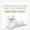 Purina Fancy Feast Gravy Lovers Beef Feast Grilled Gourmet C...