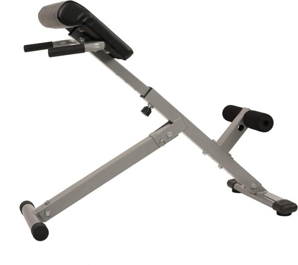 Sunny Health & Fitness Foldable Hyperextension Roman Chair w...