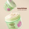 Hawaiian Tropic After Sun Body Butter with Coconut Oil, 8oz ...