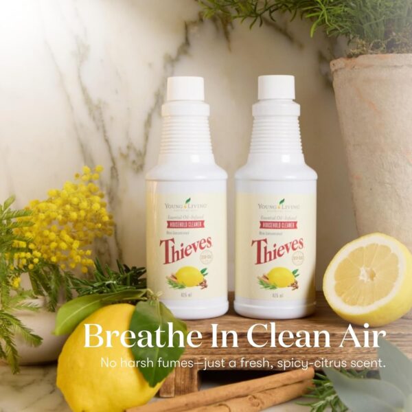 Young Living Thieves Household Cleaner 14.4 oz, Plant-Based ...