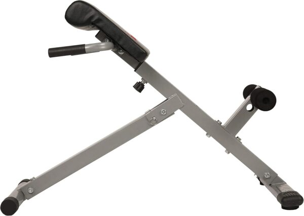 Sunny Health & Fitness Foldable Hyperextension Roman Chair w...