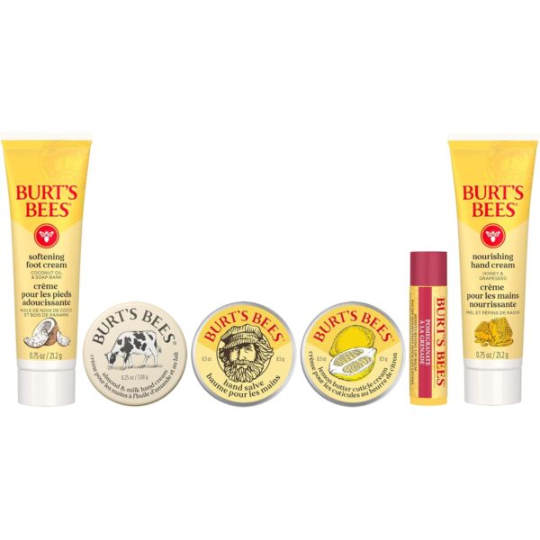 Burt's Bees Gifts Ideas, Tips and Toes Kit, 6 Travel Size Pr...